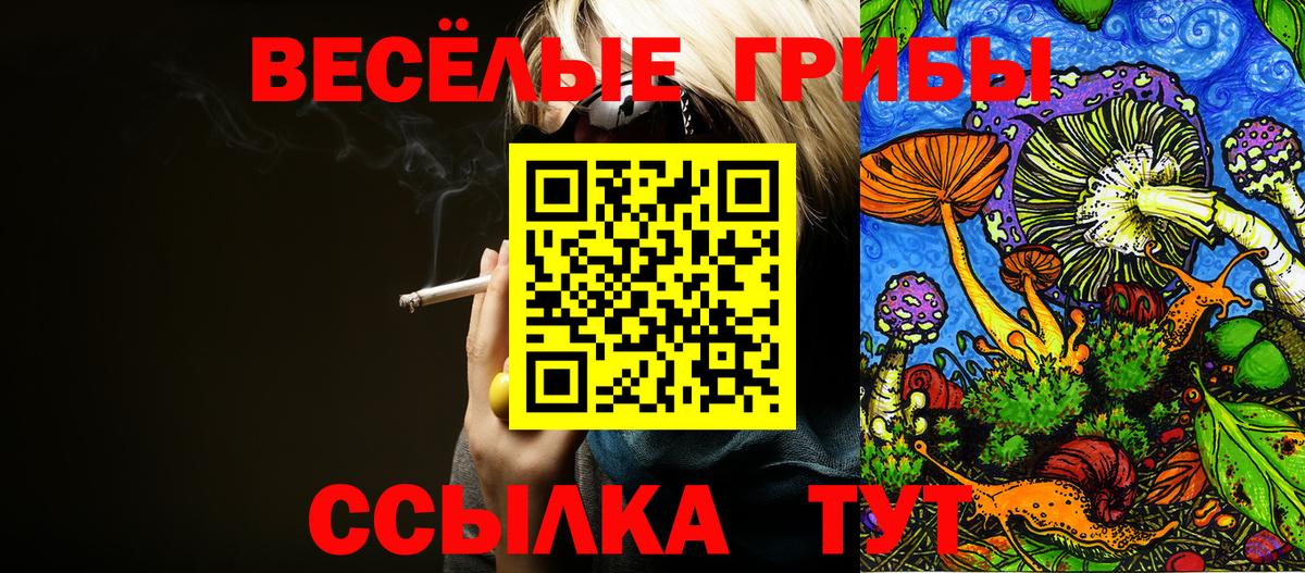 Чебаркуль  Галлюциногенные грибы Psilocybe  Вход с VPN 