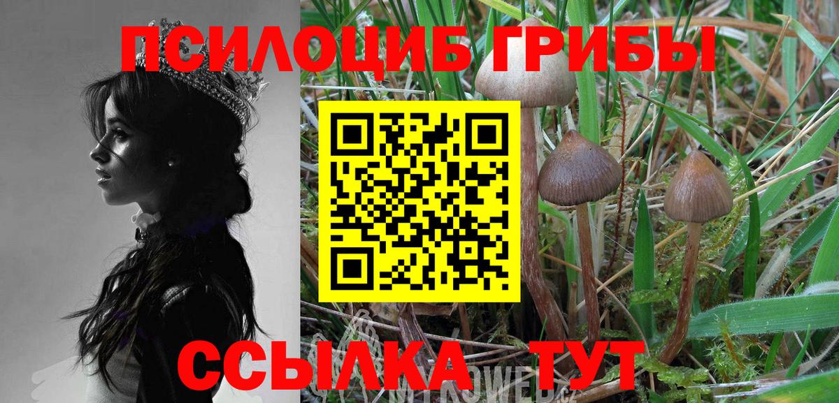 Галлюциногенные грибы ЛСД Чебаркуль